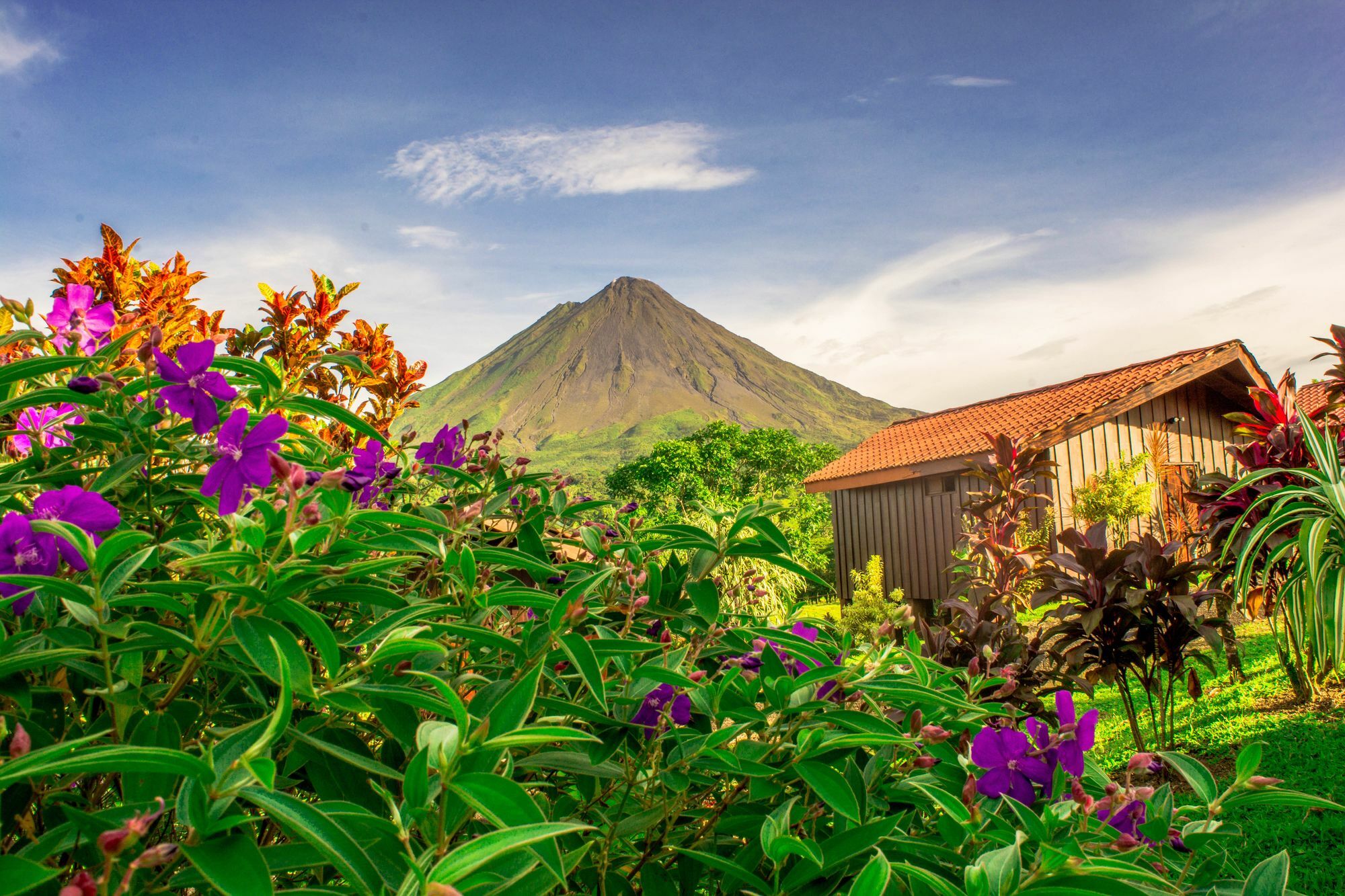 Arenal Bungalows La Fortuna Dış mekan fotoğraf